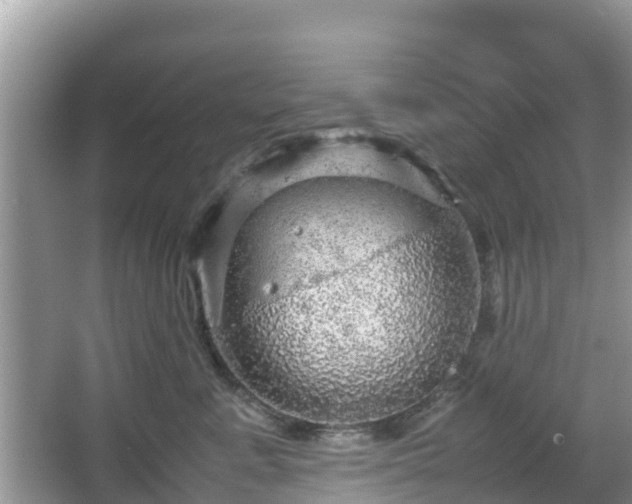 X0000067480619200604101231