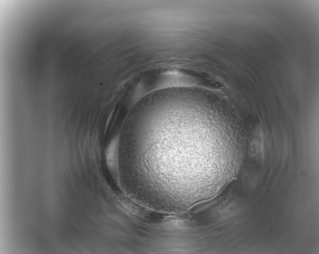 X0000067480620200604101231