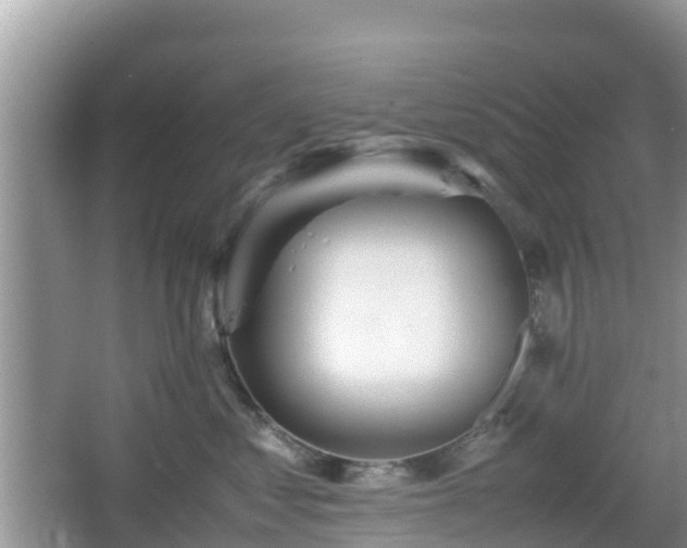 X0000067480621200604101231