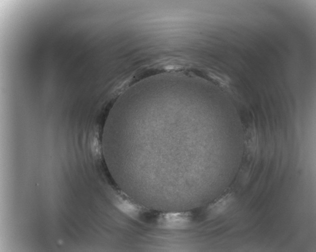 X0000067480622200604101231