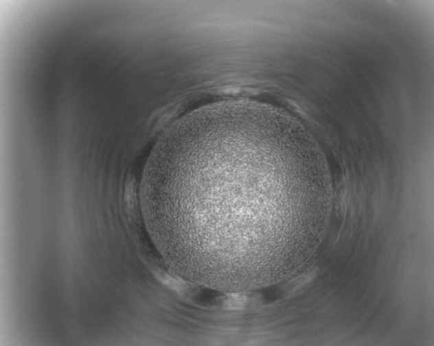 X0000067480623200604101231