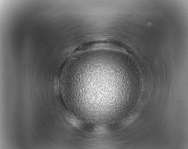 X0000067480624200604101231