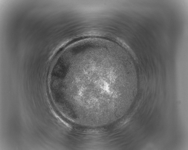 X0000067480625200604101230