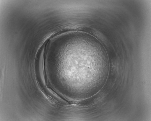 X0000067480626200604101230