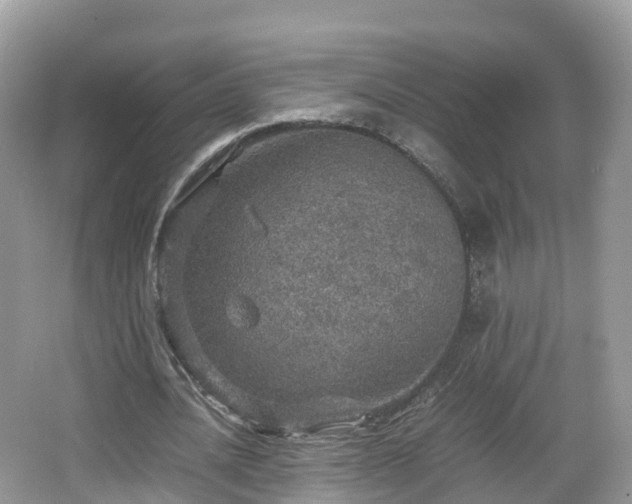 X0000067480628200604101230