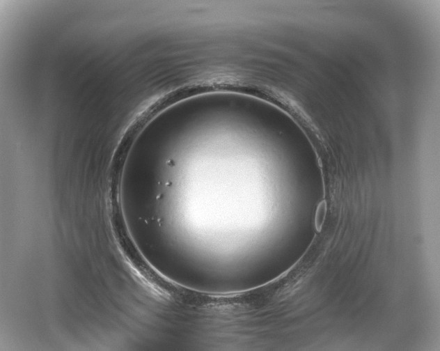 X0000067480629200604101230