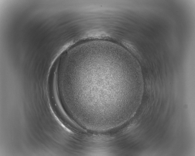 X0000067480630200604101230