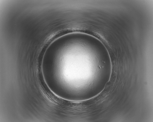 X0000067480631200604101230