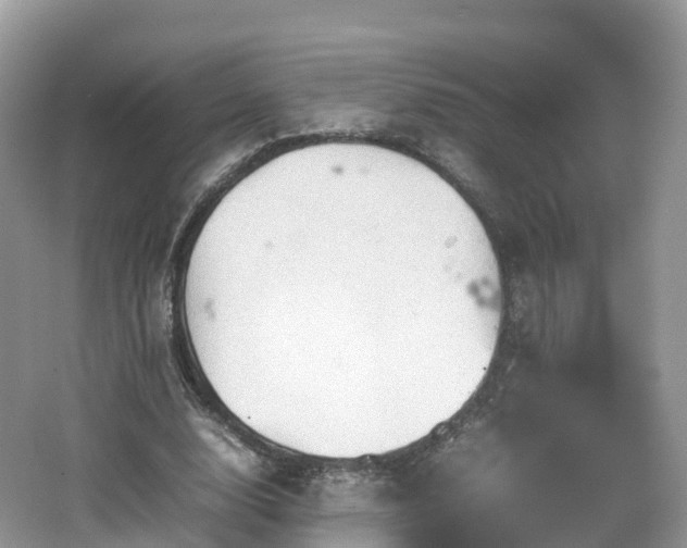 X0000067480632200604101230