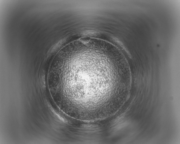 X0000067480633200604101230