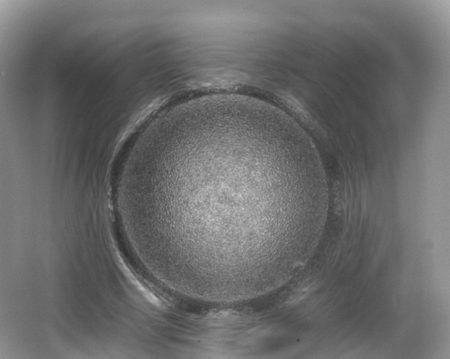 X0000067480634200604101230