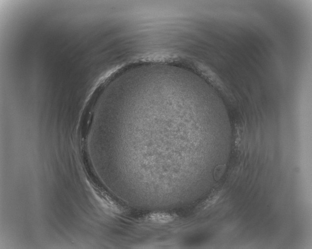 X0000067480636200604101230