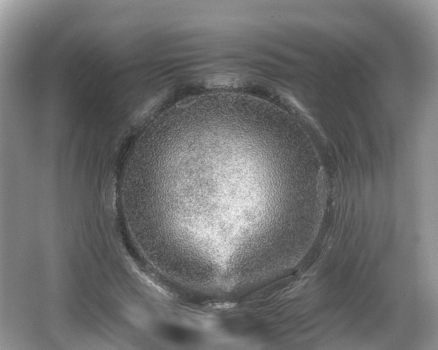 X0000067480637200604101230