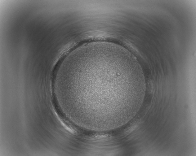 X0000067480638200604101230