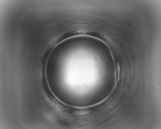 X0000067480639200604101230