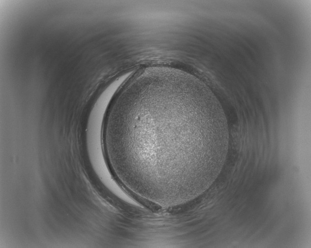 X0000067480642200604101230