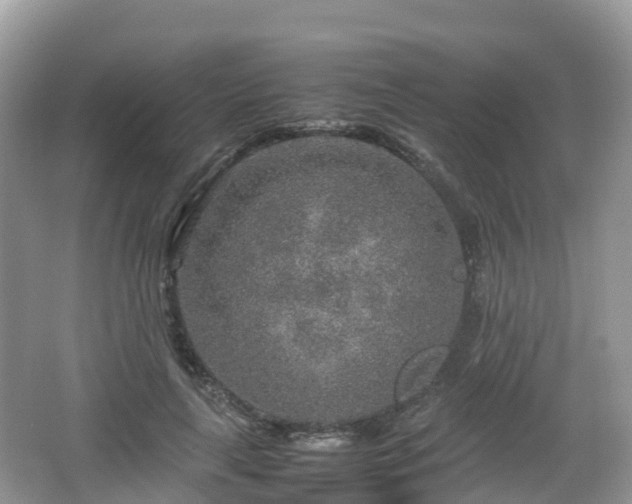 X0000067480643200604101230