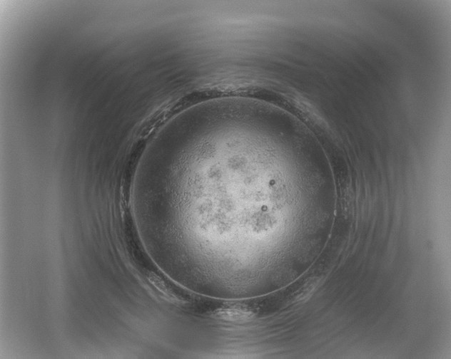 X0000067480644200604101230