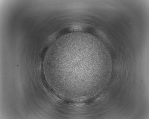 X0000067480645200604101230