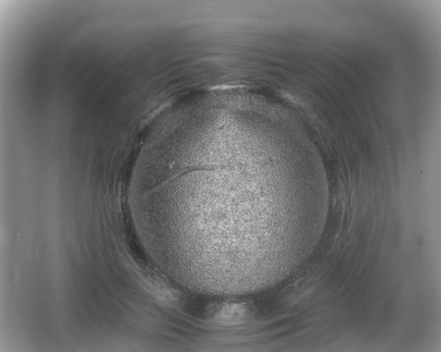 X0000067480647200604101230