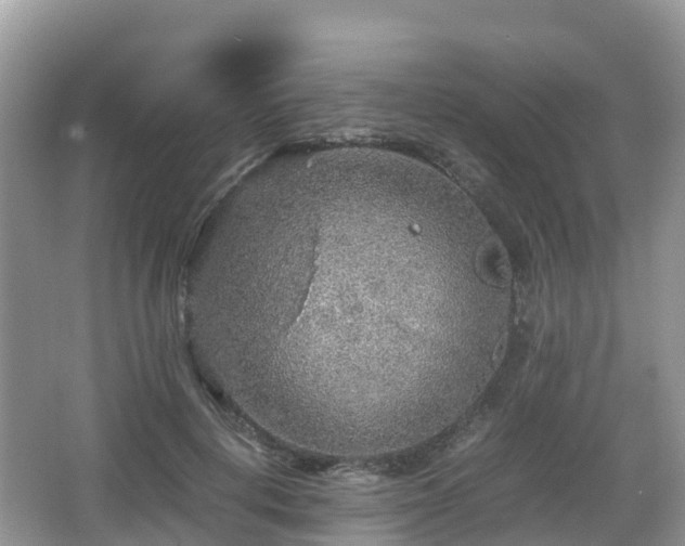 X0000067480648200604101230