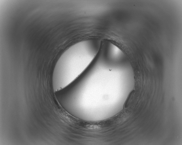 X0000067480649200604101230