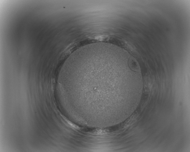 X0000067480656200604101230