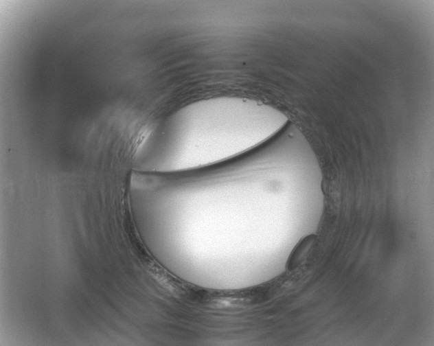 X0000067480657200604101230