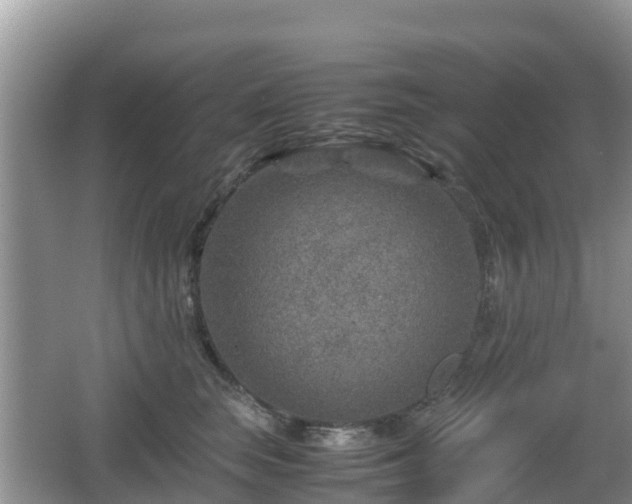 X0000067480663200604101230