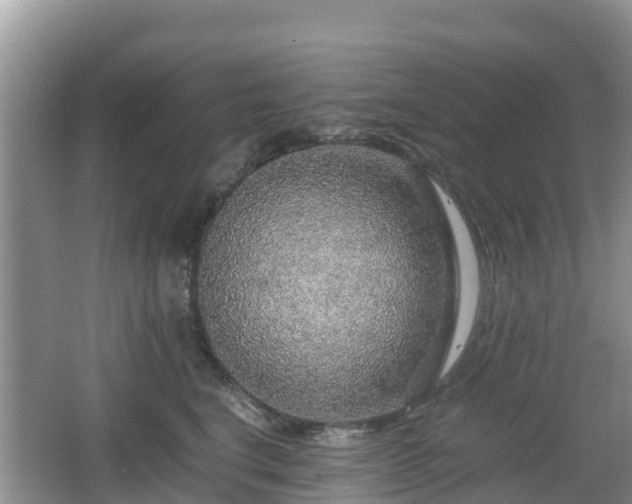 X0000067480664200604101230