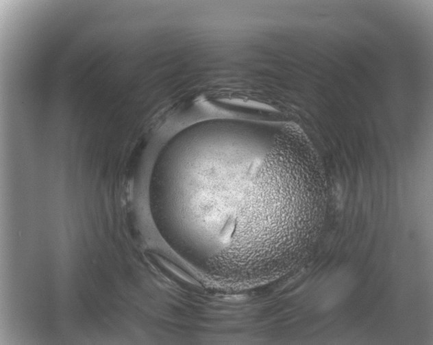 X0000067480665200604101230