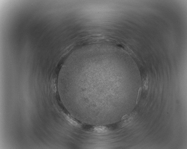 X0000067480666200604101231