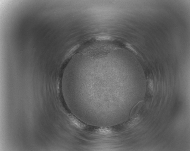 X0000067480668200604101231