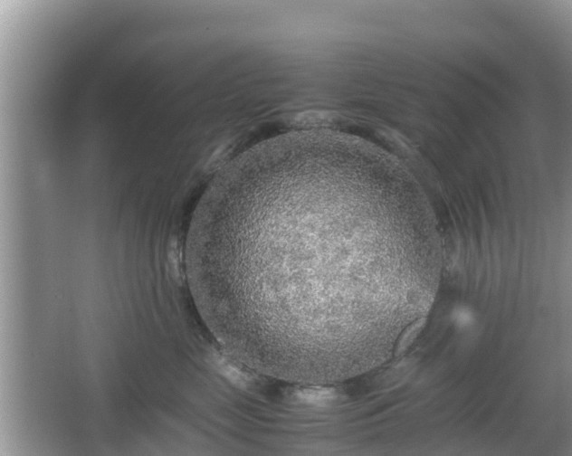 X0000067480669200604101231