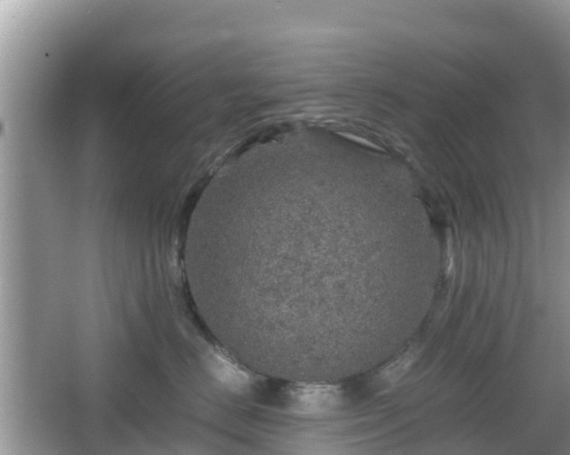 X0000067480670200604101231