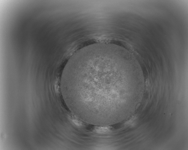 X0000067480671200604101231