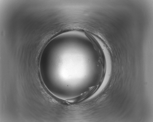 X0000067480673200604101230