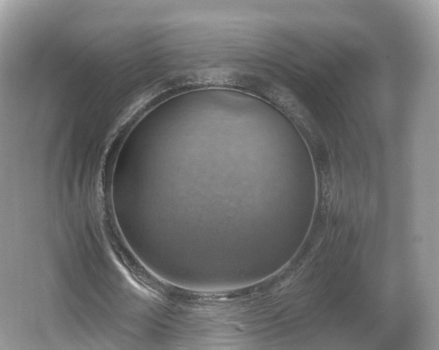 X0000067480674200604101230