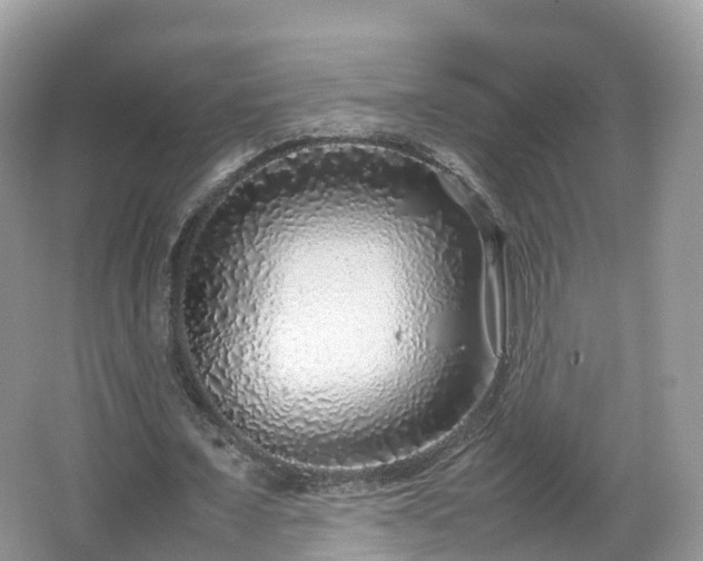 X0000067480675200604101230