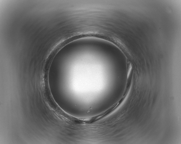 X0000067480676200604101230