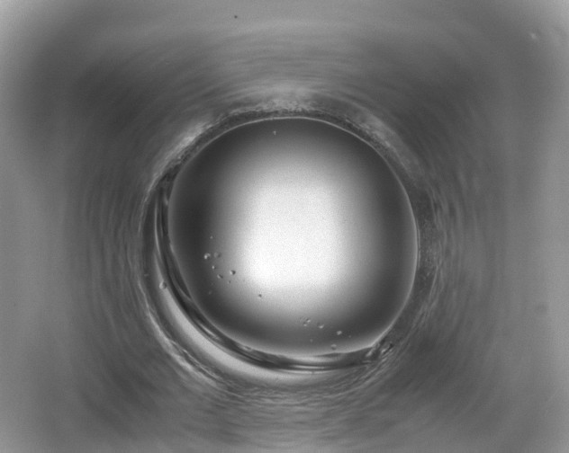 X0000067480677200604101230