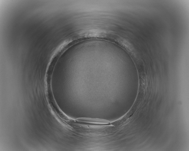 X0000067480678200604101230