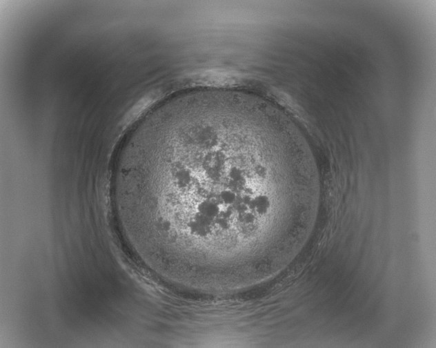 X0000067480679200604101230