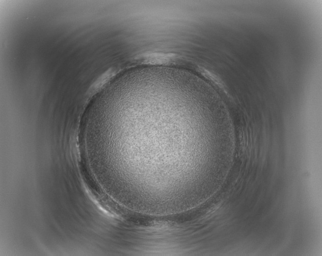 X0000067480682200604101230