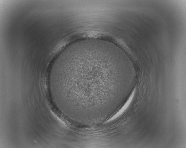 X0000067480683200604101230