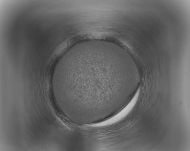 X0000067480687200604101230