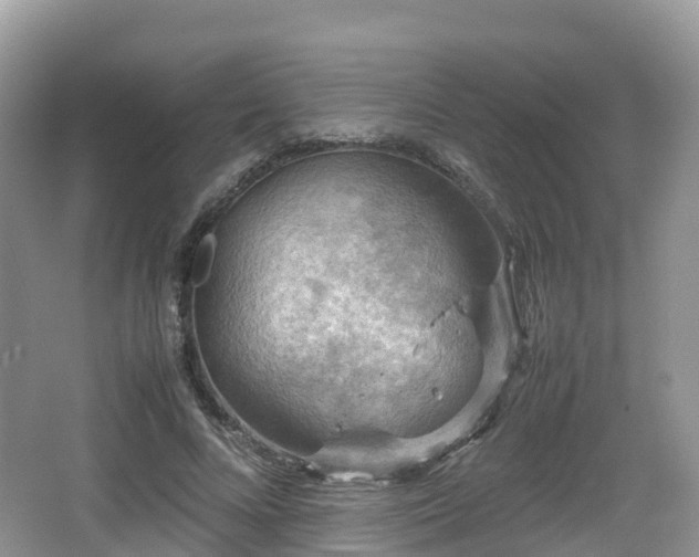 X0000067480688200604101230