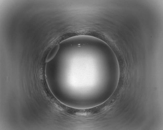 X0000067480689200604101230