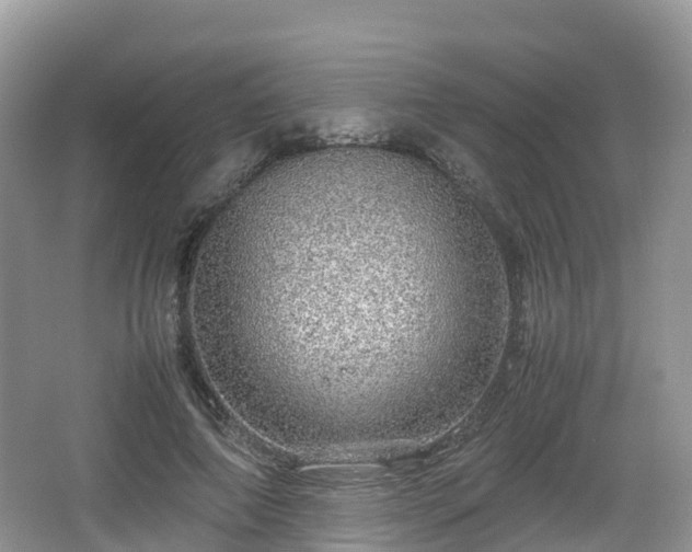 X0000067480690200604101230