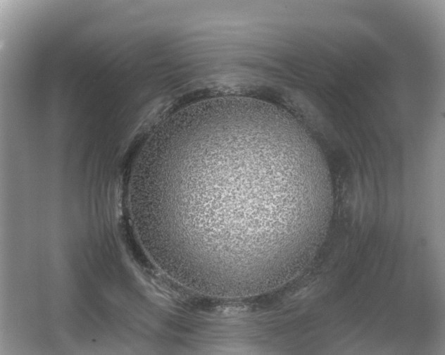 X0000067480694200604101229